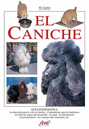 Place El caniche