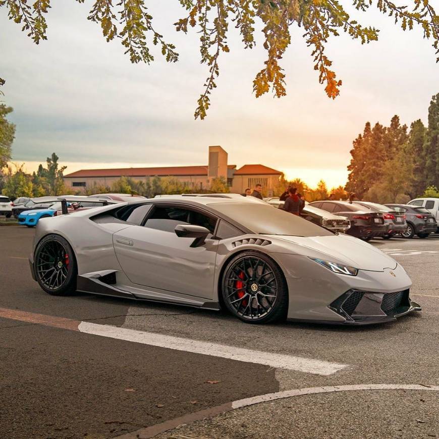 Social Lambo