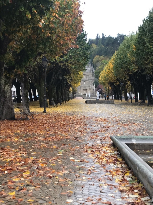 Place Lamego