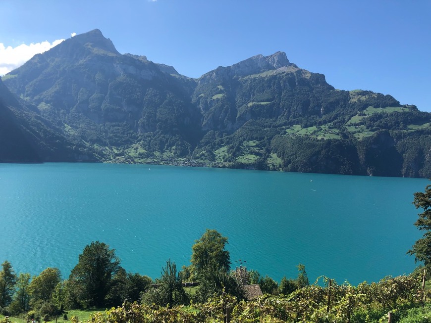 Restaurantes Urnersee