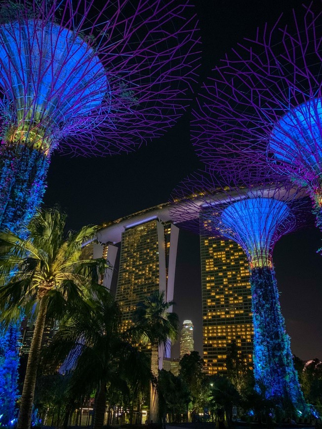 Place Gardens by the Bay