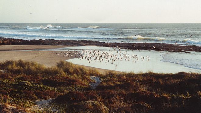 Lugar Praia de Morgavel