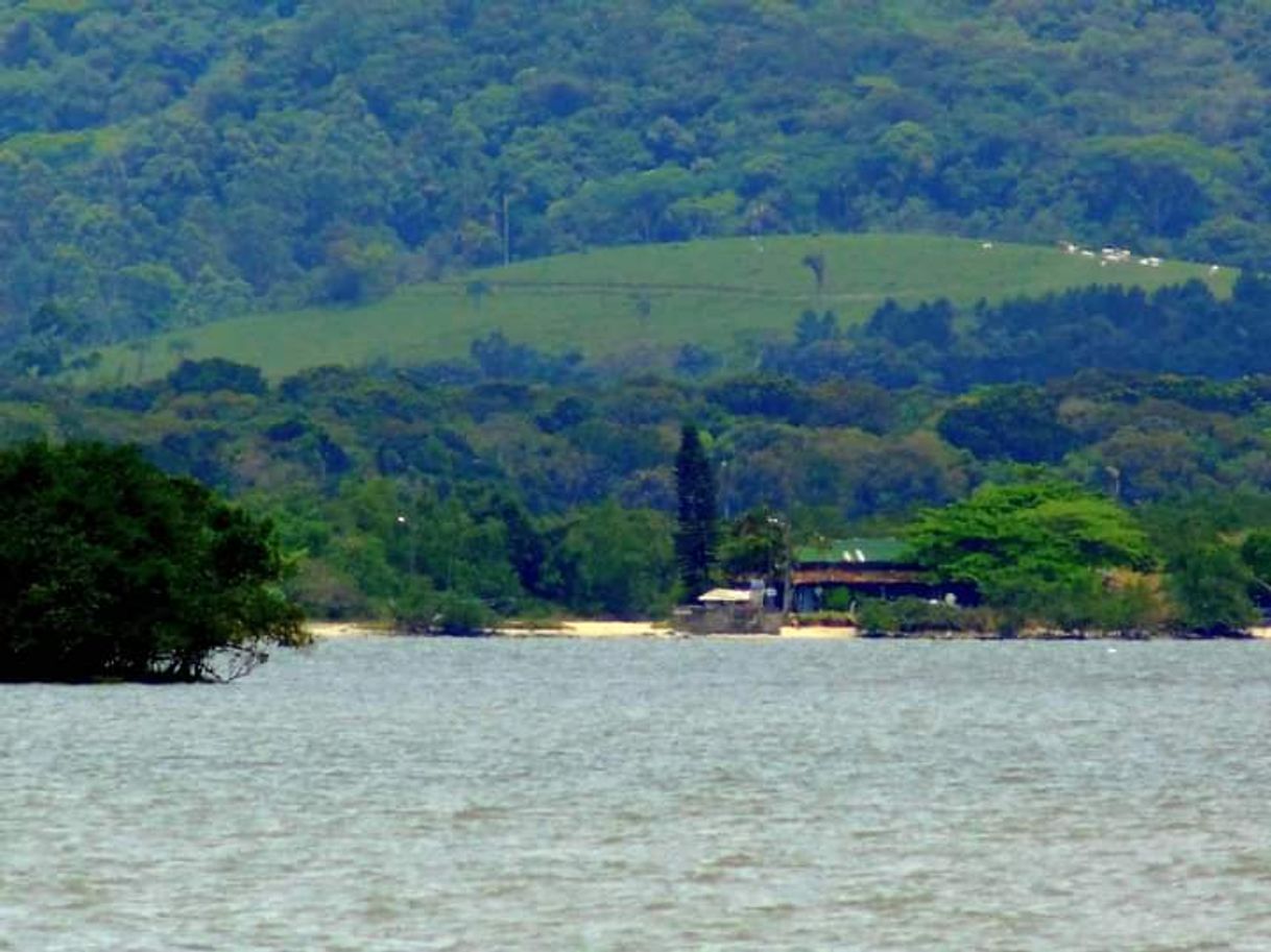 Place São Francisco do Sul