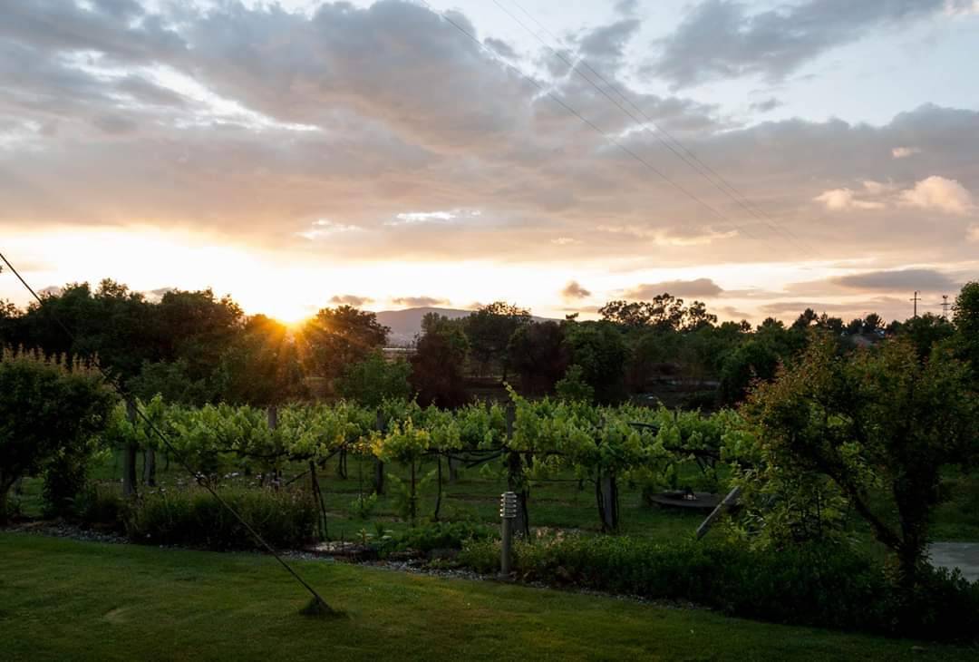 Quinta da Mouta Cristoi