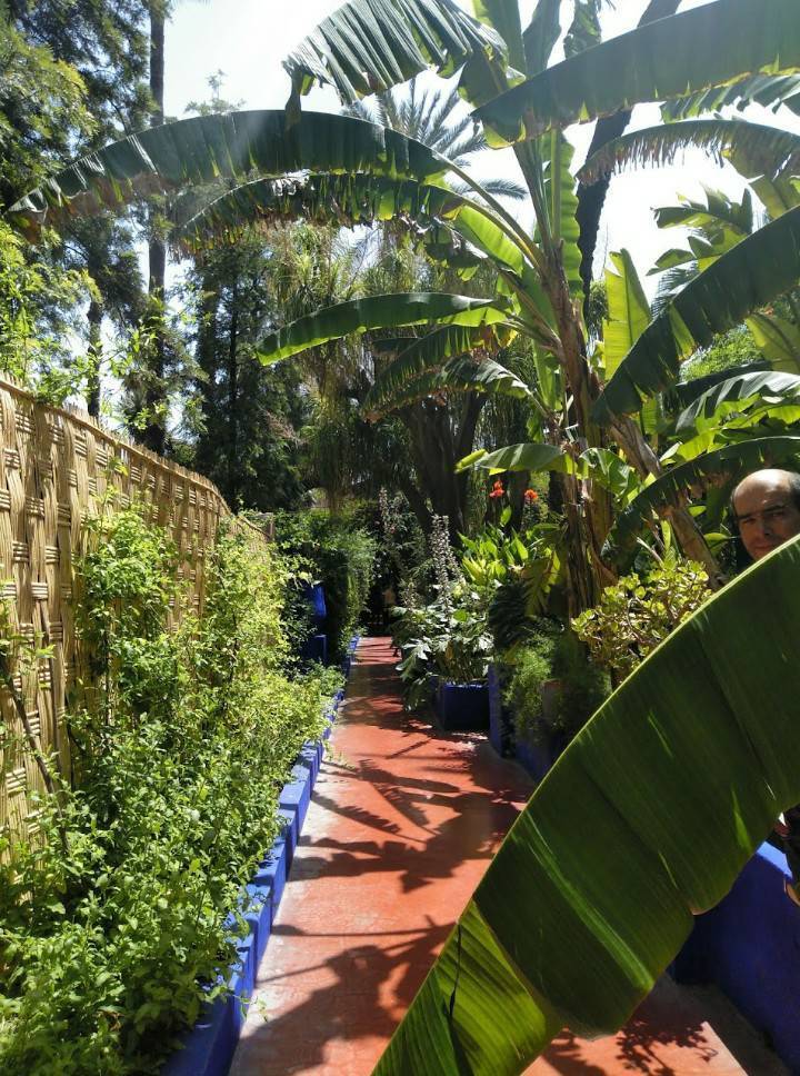 Lugar Jardín Majorelle