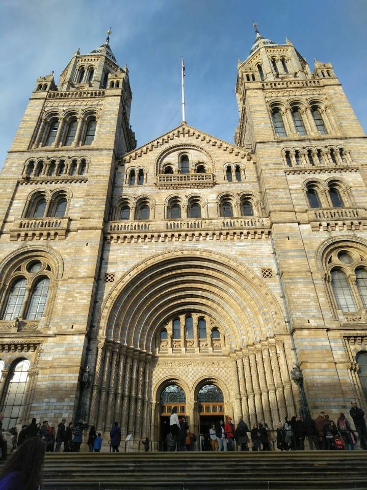 Lugar Natural History Museum