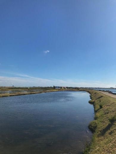 Salinas de Aveiro