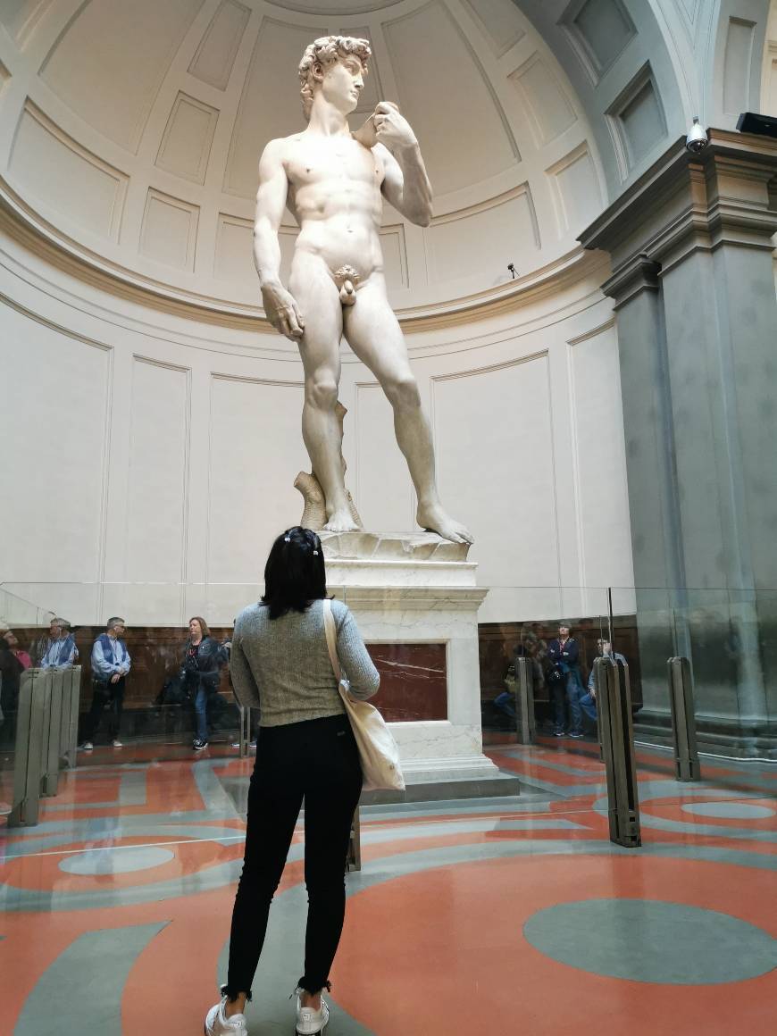 Lugar Galleria dell'Accademia di Firenze