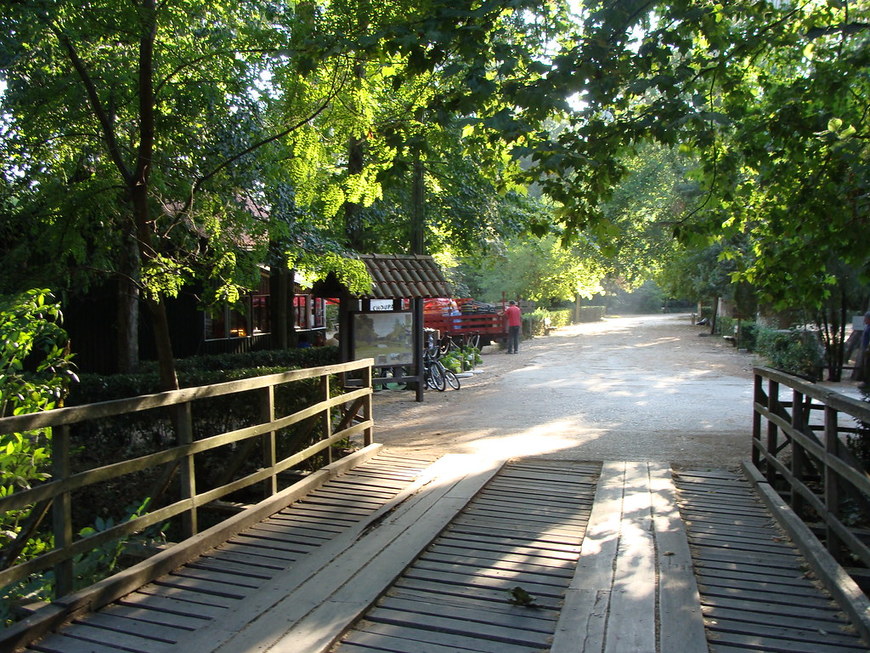 Lugar Mata Nacional do Choupal