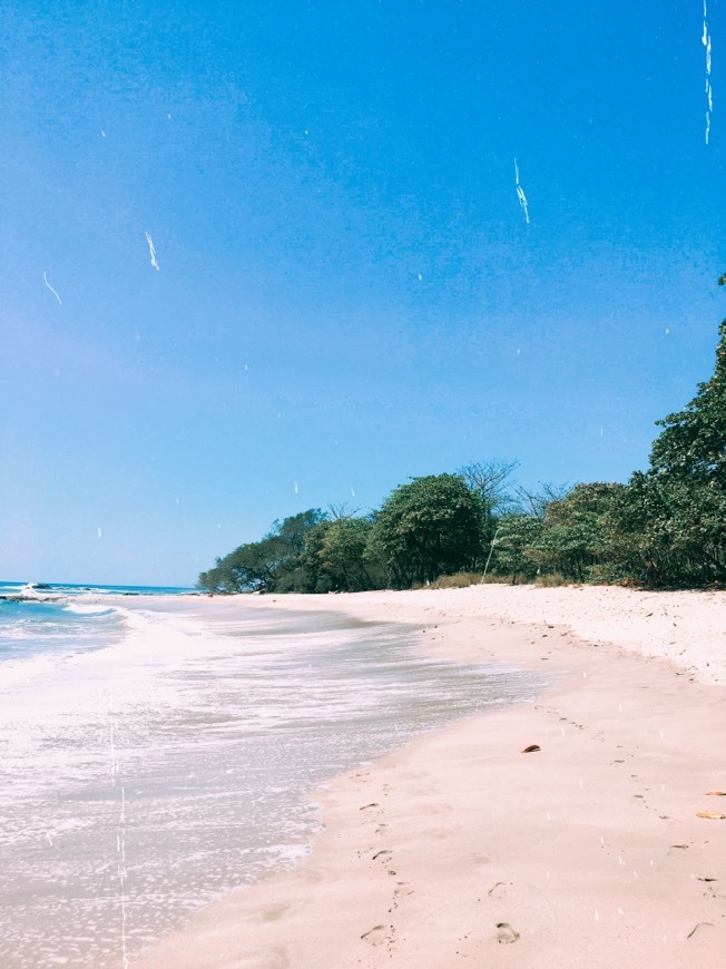 Lugar Playa Santa Teresa