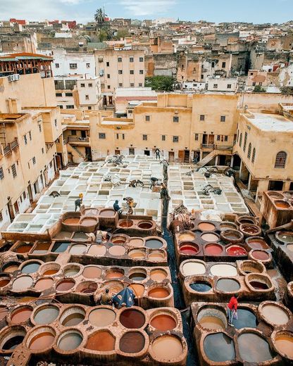 Chouara Tannery