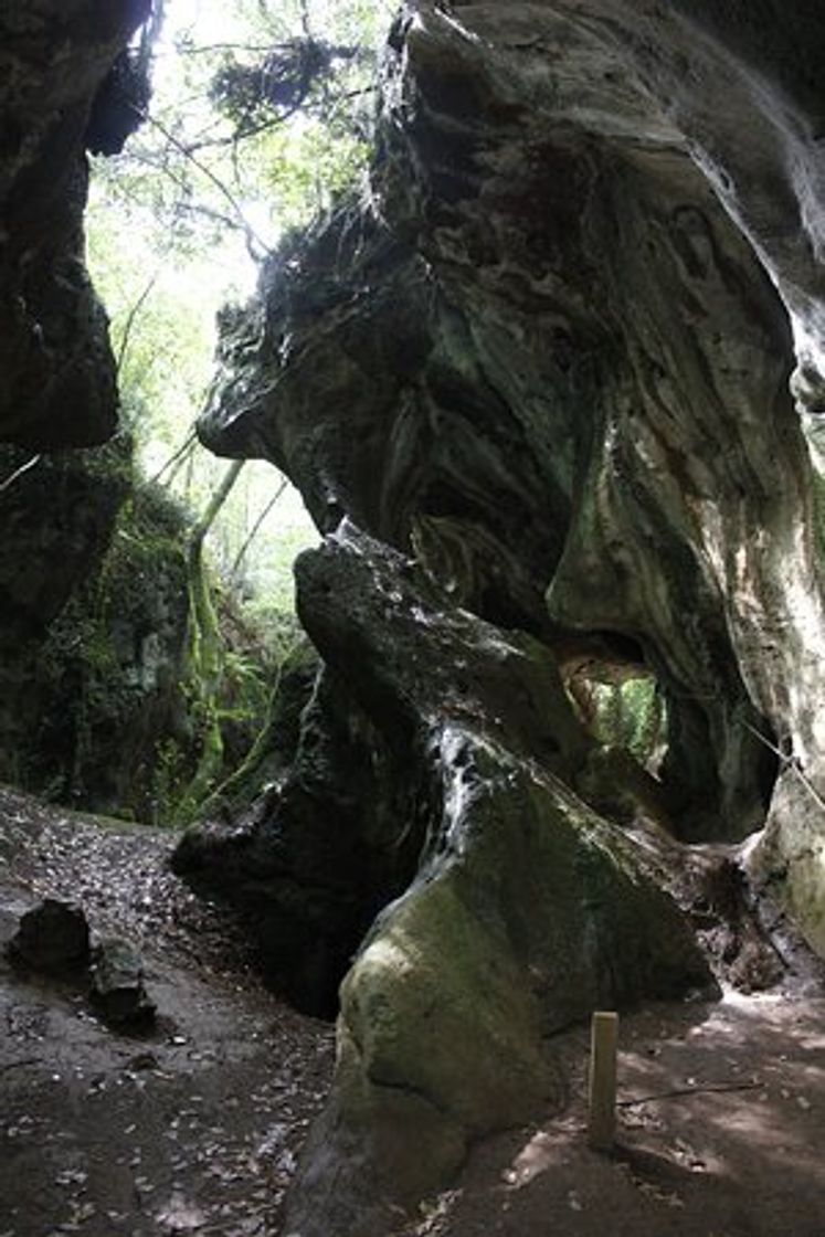 Place Cuevas de Andina