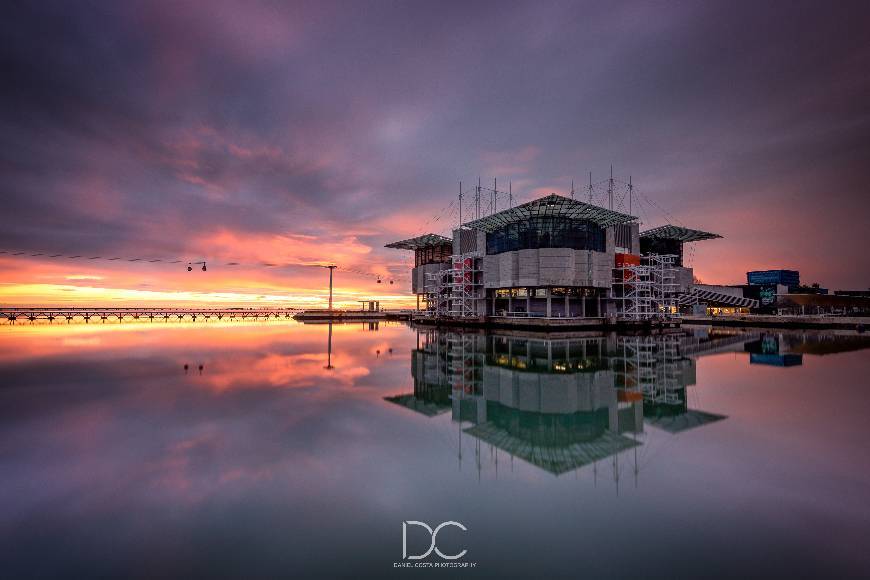 Place Oceanario de Lisboa