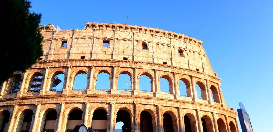 Lugar Coliseo de Roma