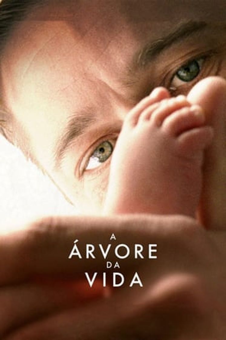 Película El árbol de la vida