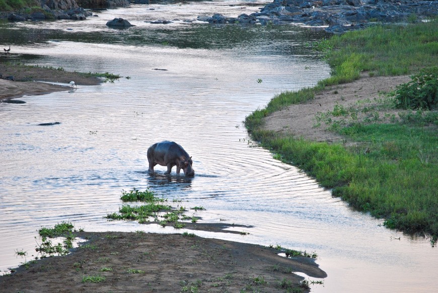 Place Pestana Kruger Lodge