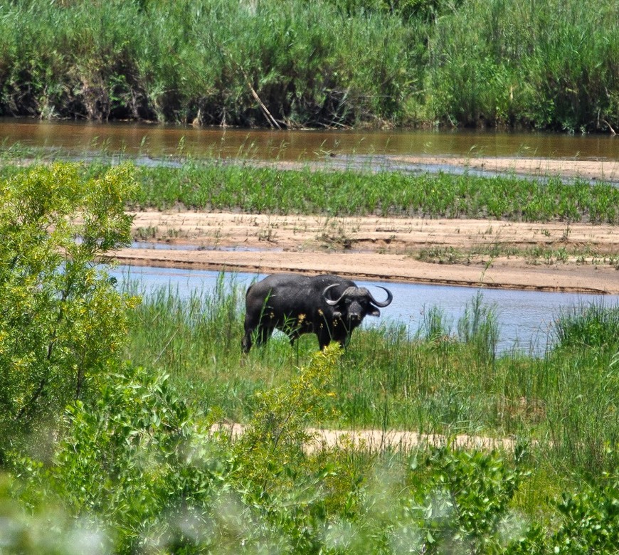 Restaurants Lower Sabie Rest Camp