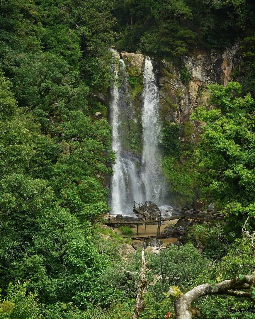 Lugar Cascadas Paraíso