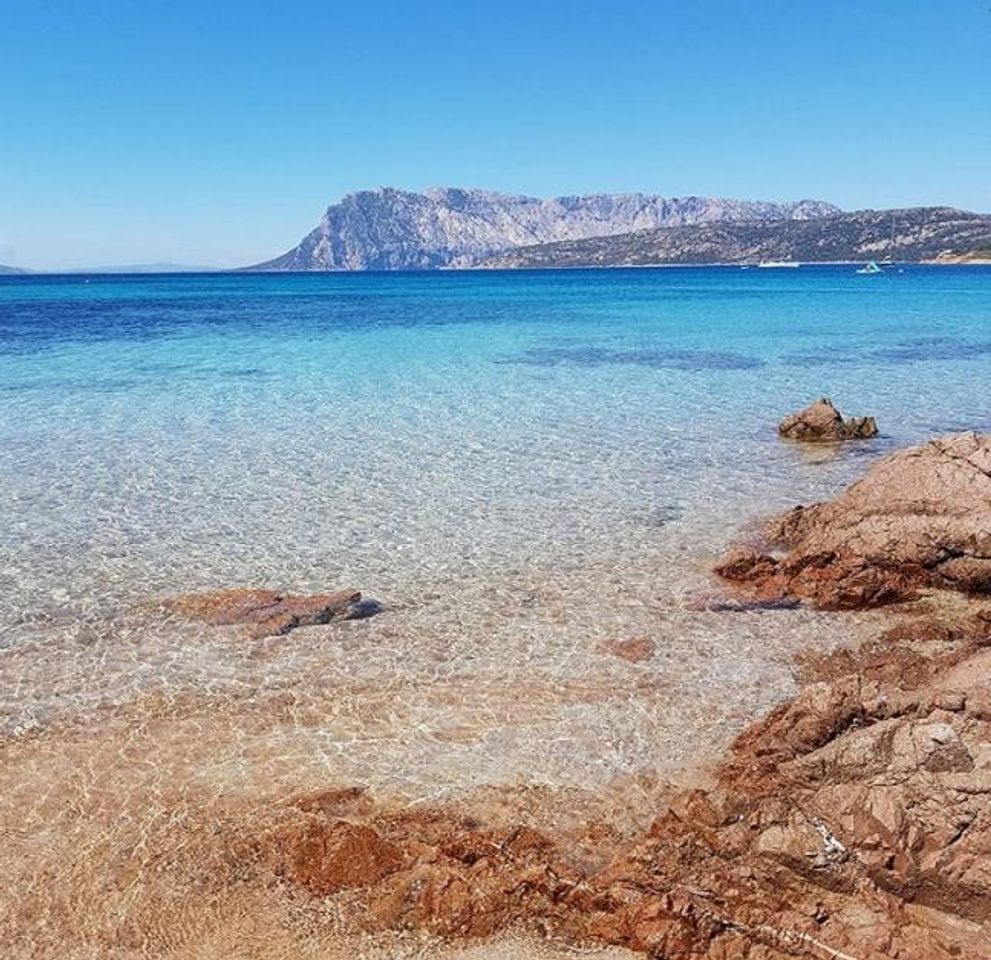 Place Spiaggia Capo Coda Cavallo