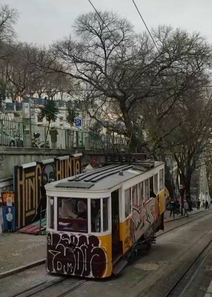 Lugar Elevador da Glória