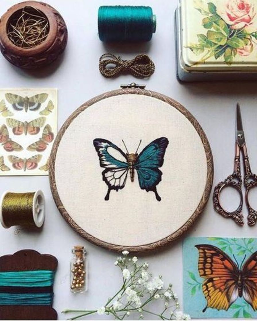 Moda Butterfly 🦋