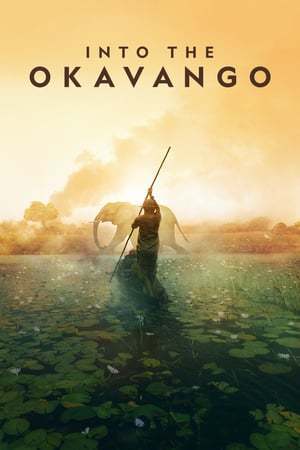 Movie Into the Okavango