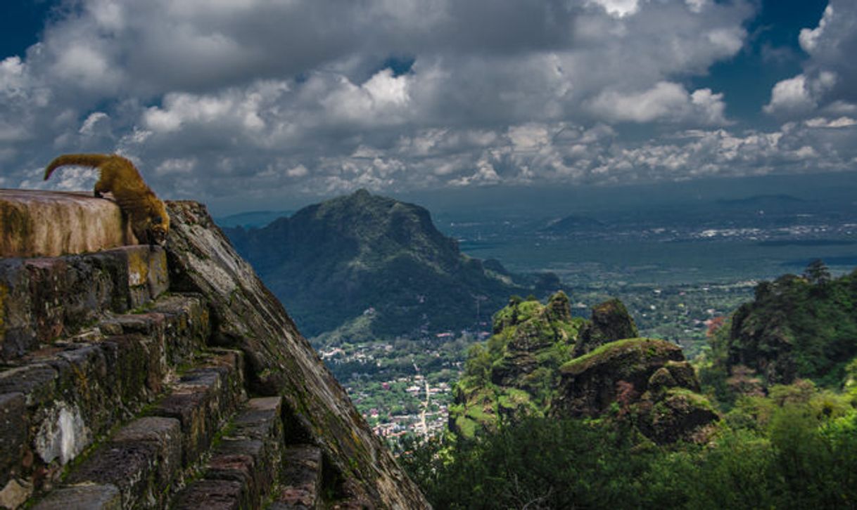 Place Tepozteco