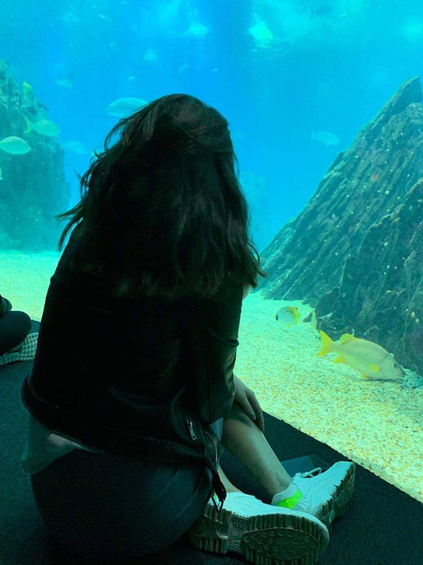 Lugar Oceanário de Lisboa