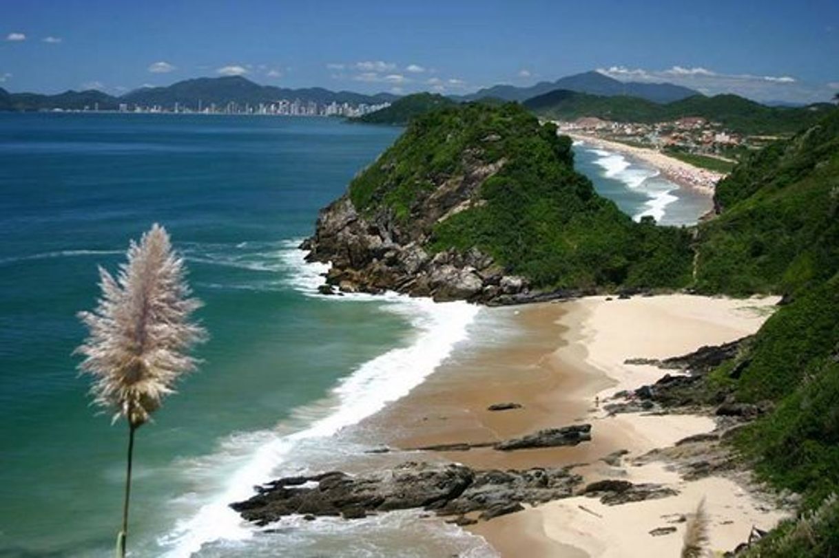 Lugar Praia Brava