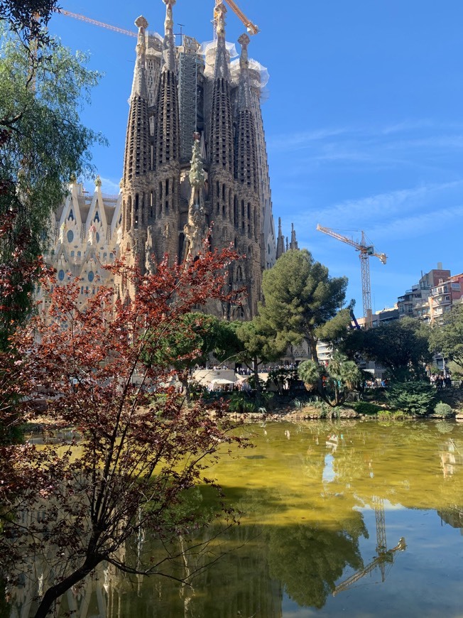 Lugar Basílica Sagrada Familia