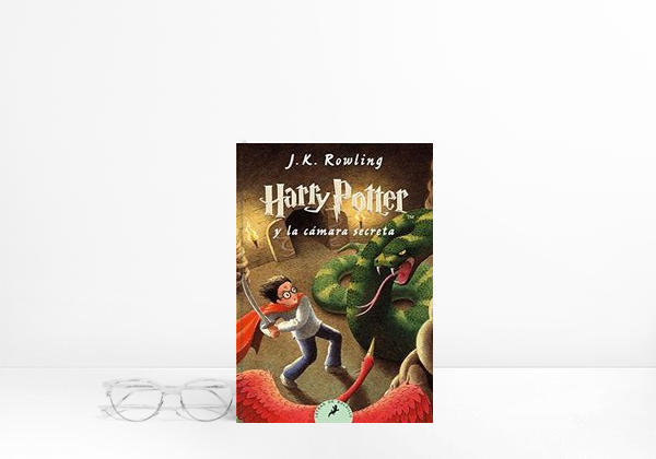 Book Harry Potter y La Camara Secreta