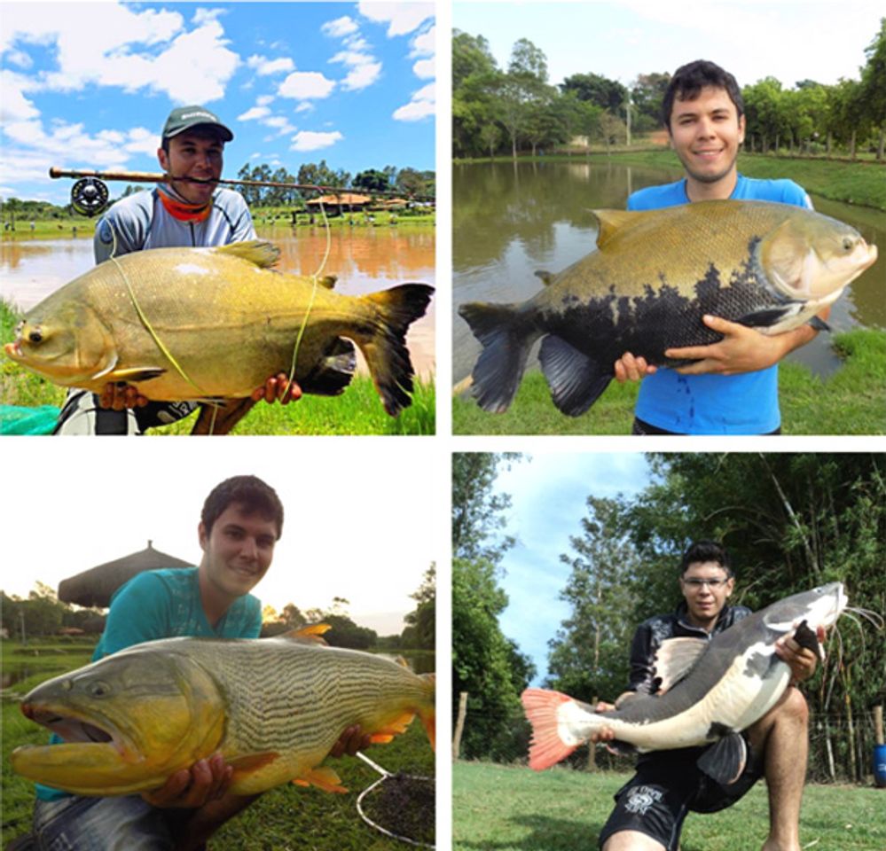 Restaurants Pesqueiro Guarantã