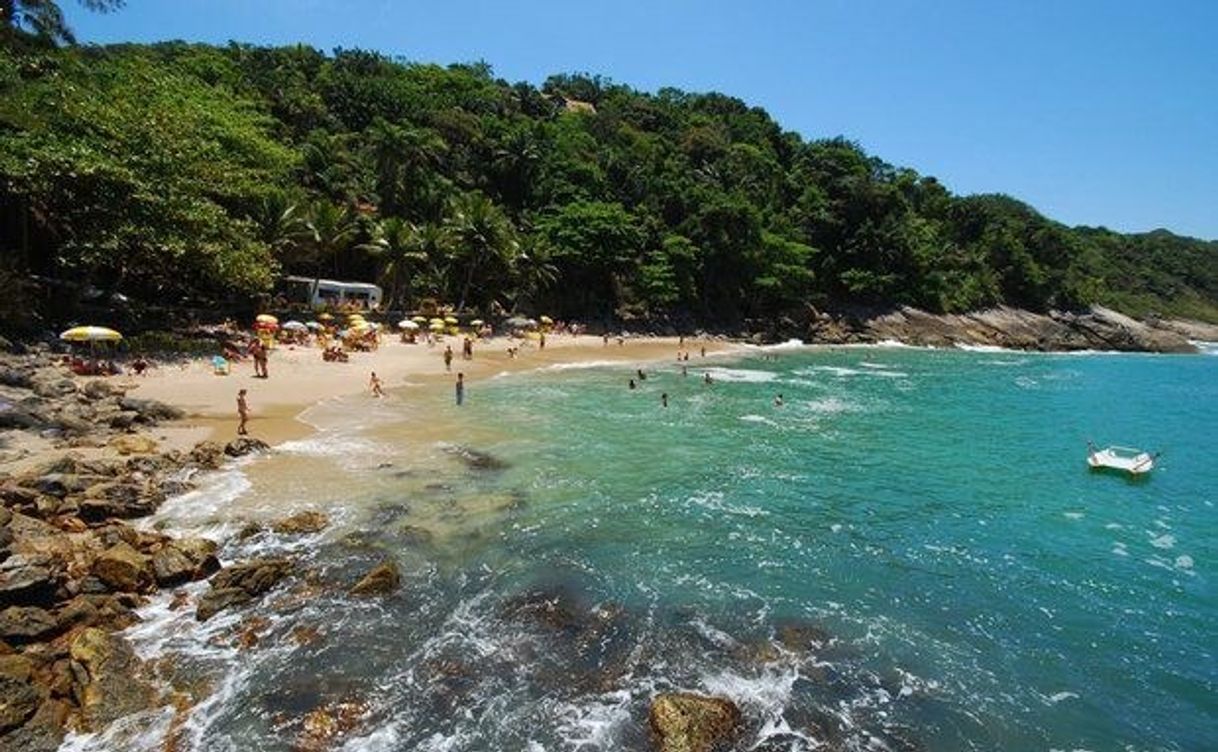 Place Praia Guarujá