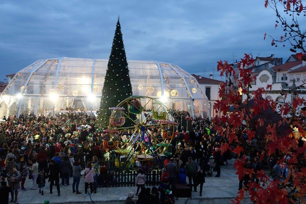 Lugar Bragança, Terra Natal e de Sonhos