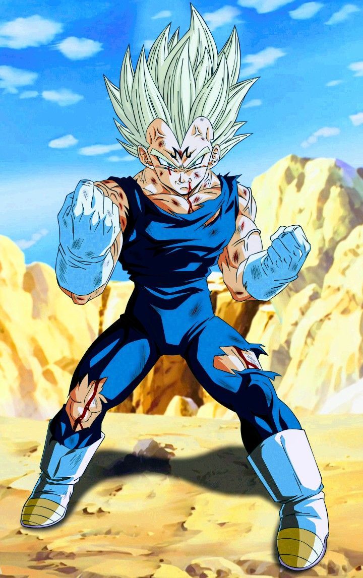 Moda Vegeta