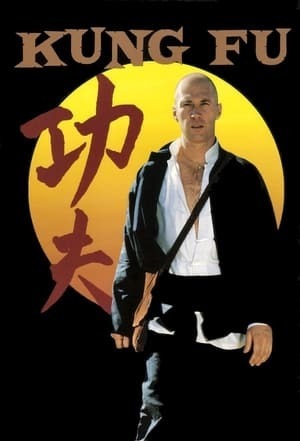 Serie Kung Fu: la leyenda continúa