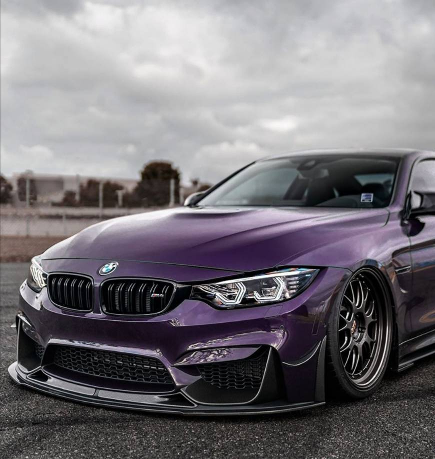 Moda M4 purple