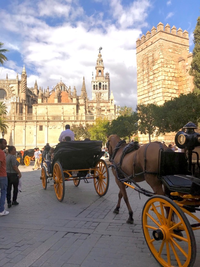 Catedral de Sevilla