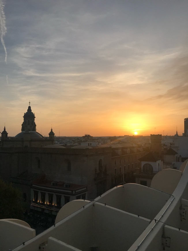 Setas de Sevilla