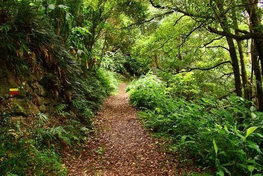 Sanguinho - Turismo de Natureza nos Açores Lda.