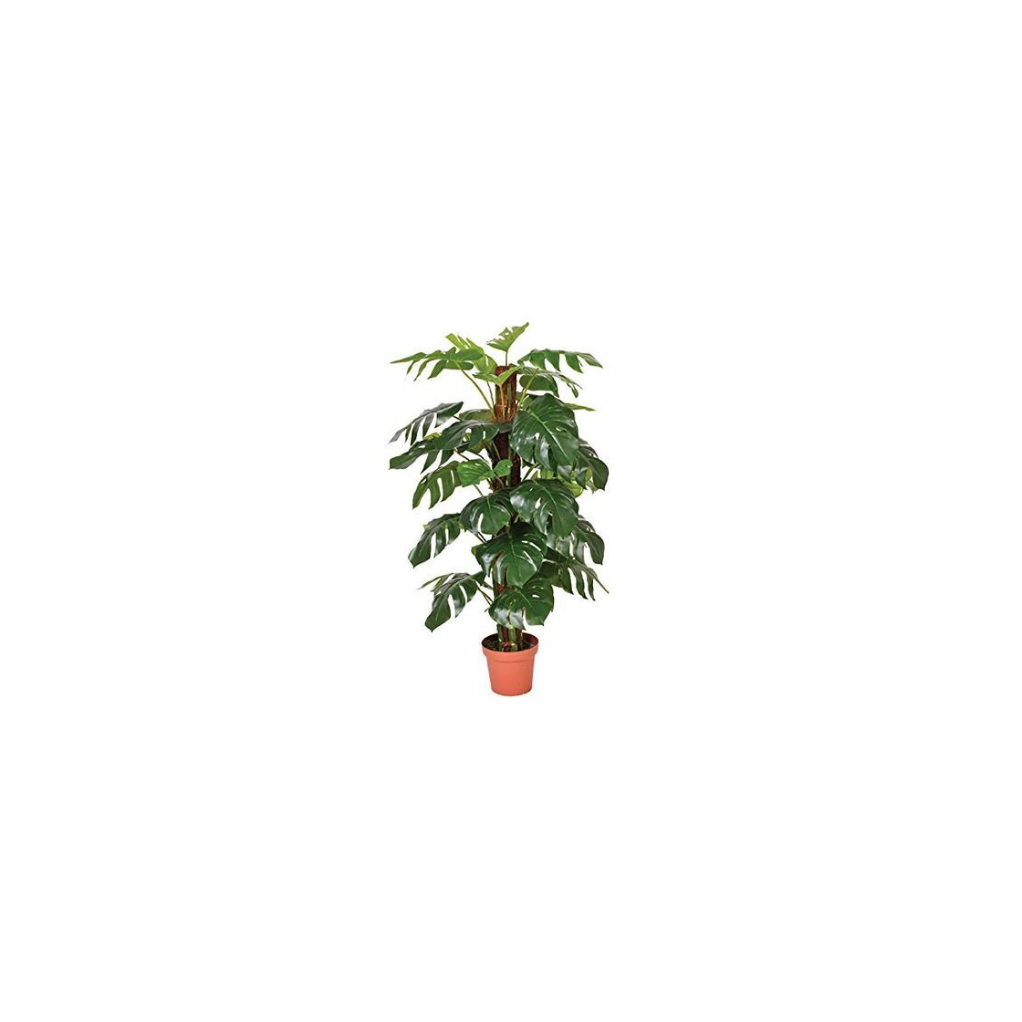 Product Catral 74010020 Planta artificial Monstera