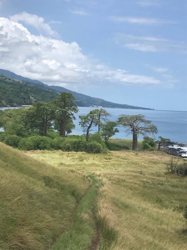 Lugar Sao Tome Island