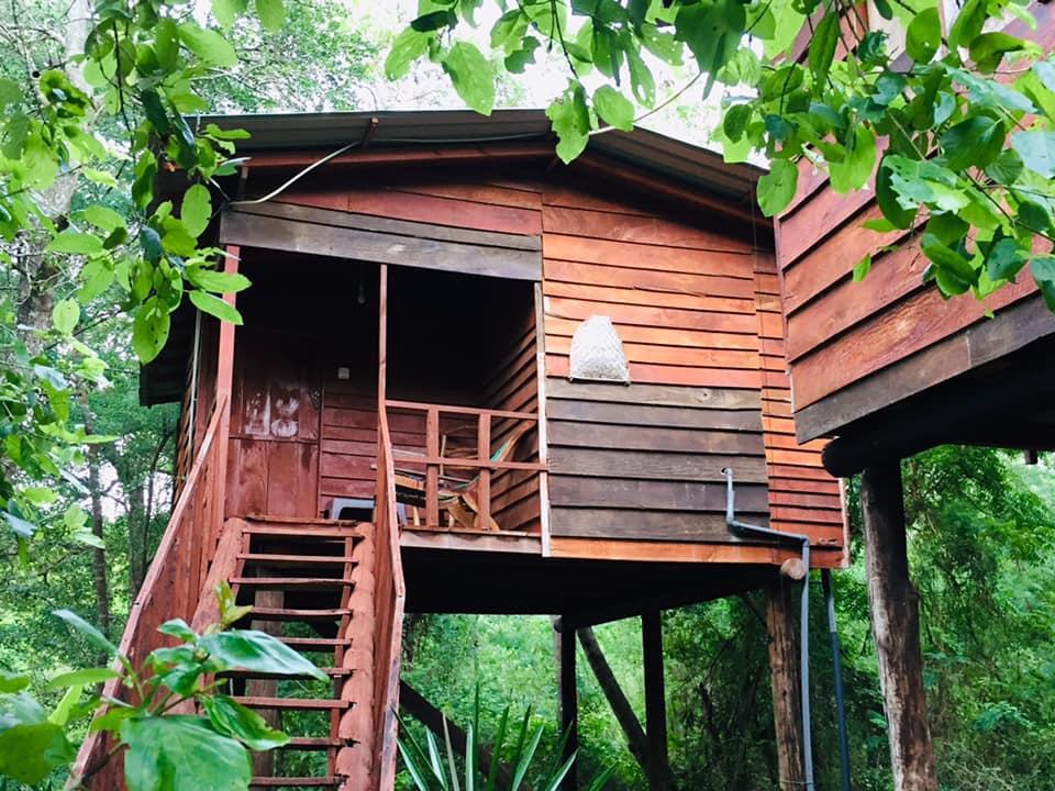 Place Tree House Hostel