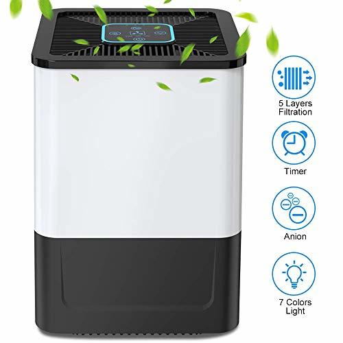 Place Nobebird Purificador de Aire para Hogar con Filtro HEPA y Carbón Activado