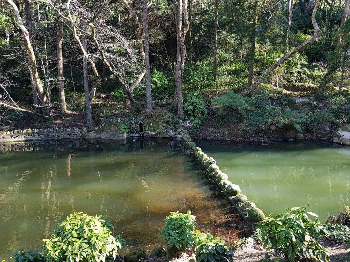 Lugar Parque Nacional da Pena