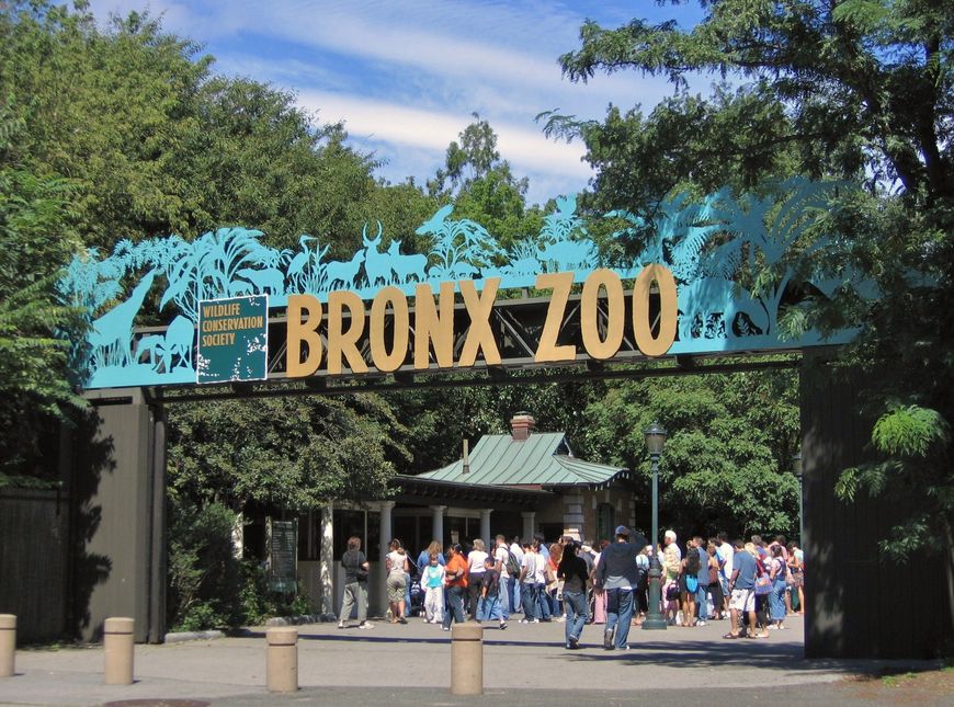 Lugar Zoológico del Bronx