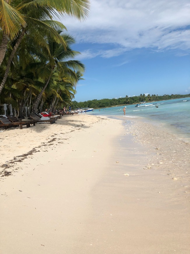 Lugar Punta Cana