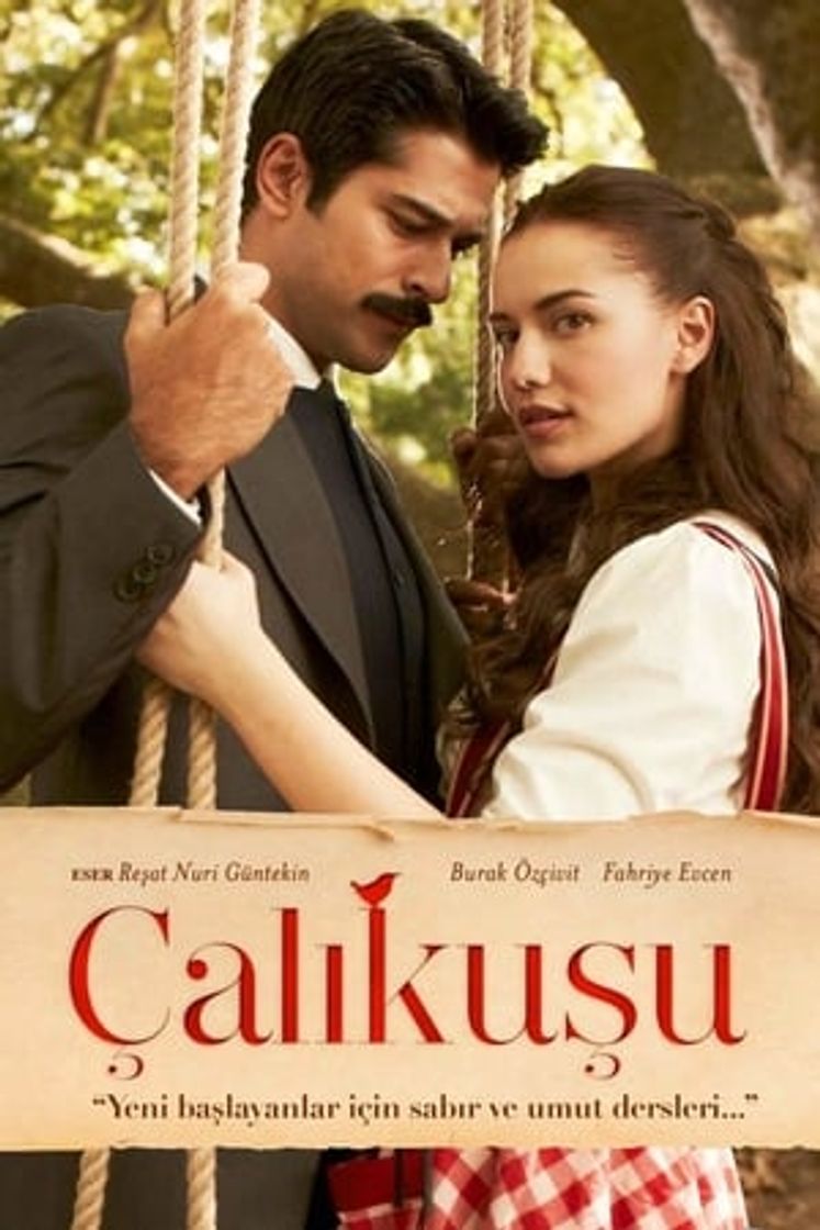 Serie Çalıkuşu