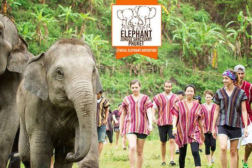 Elephant Jungle Sanctuary Phuket Offices