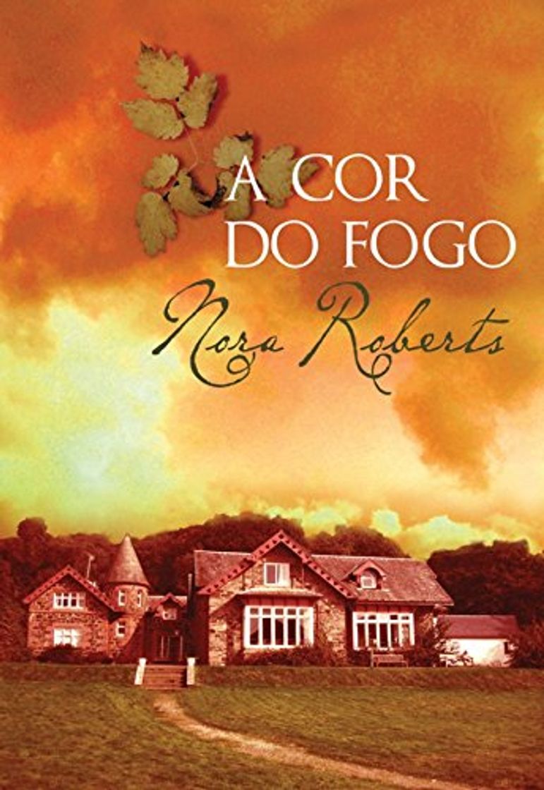 Book A Cor do Fogo